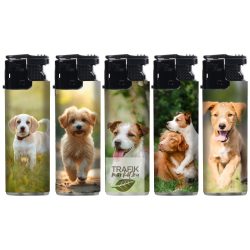 Öngyújtó vihar WildFire kutyák